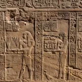 Edfou hieroglyphes.jpg